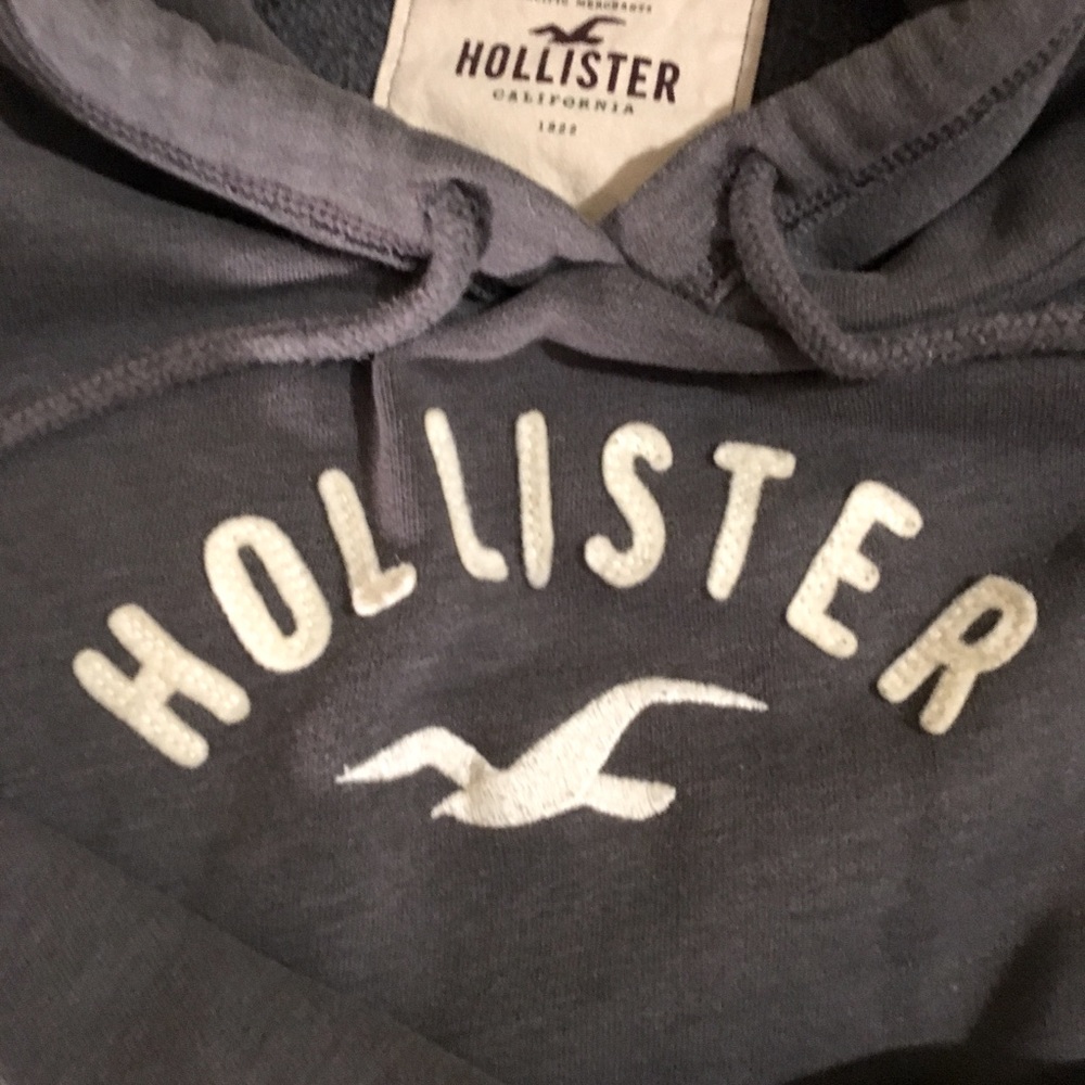 Hollister hoodie women’s medium Nice!